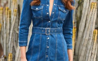 denim dress h&m